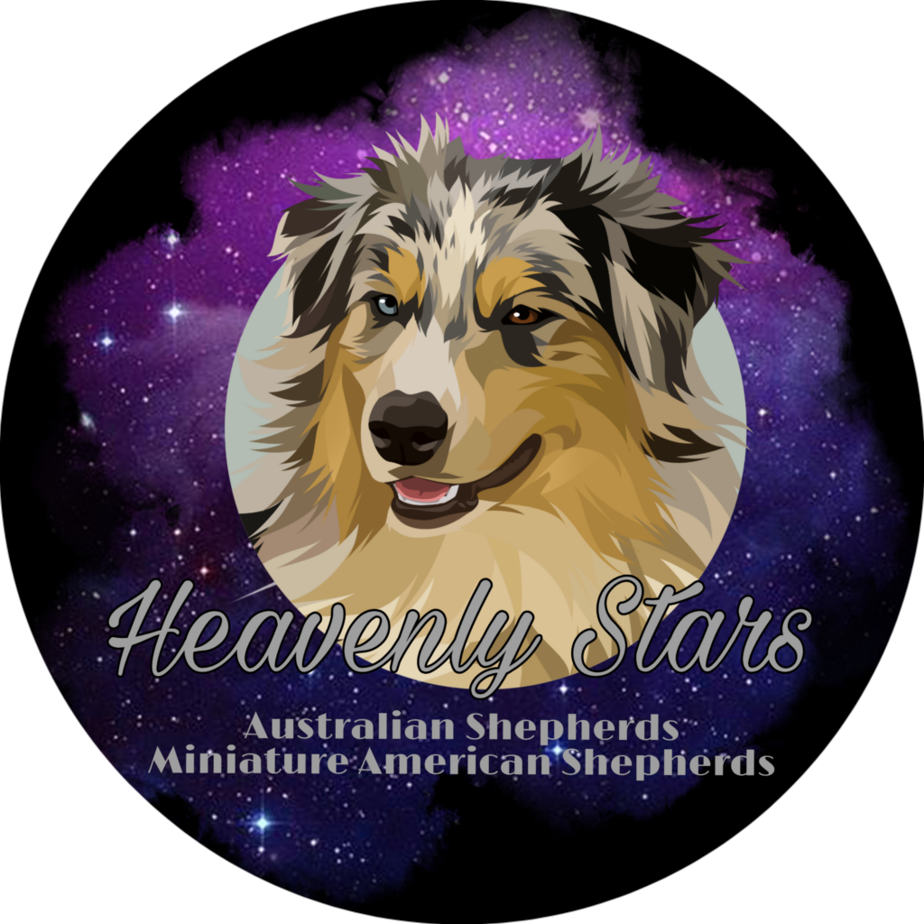 Heavenly Stars Facebook & Instagram Account