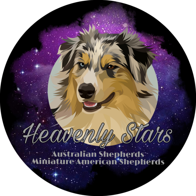 Heavenly Stars Facebook & Instagram Account