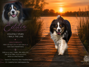 Heavenly Stars I Walk The Line "Eddie"