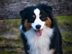 Heavenly Stars Mini’s Name of the Game