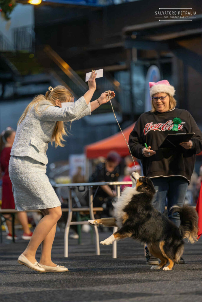 Nederlands en Belgisch Jeugdkampioen