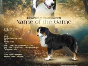 Heavenly Stars Mini's Name of the Game "Buck"