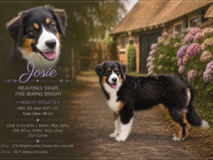 Heavenly Stars Fire Burns Bright  "Josie"