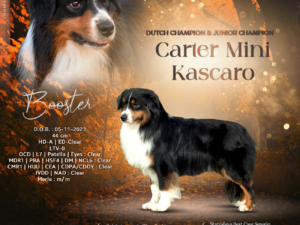 Carter Mini Kascaro  "Booster"