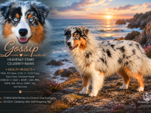 Heavenly Stars Celebrity News "Gossip"