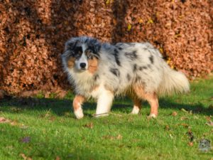 Heavenly Stars Celebrity News "Gossip"