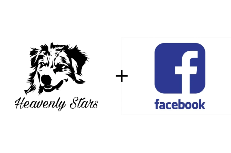 Heavenly Stars Facebook & Instagram Account