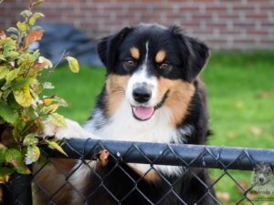 Heavenly Stars Unique Soul "Rylee"