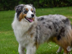 Heavenly Stars Walk Me Home "Bright"