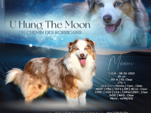 U Hung the Moon Du Chemin Des Korrigans "Moon"