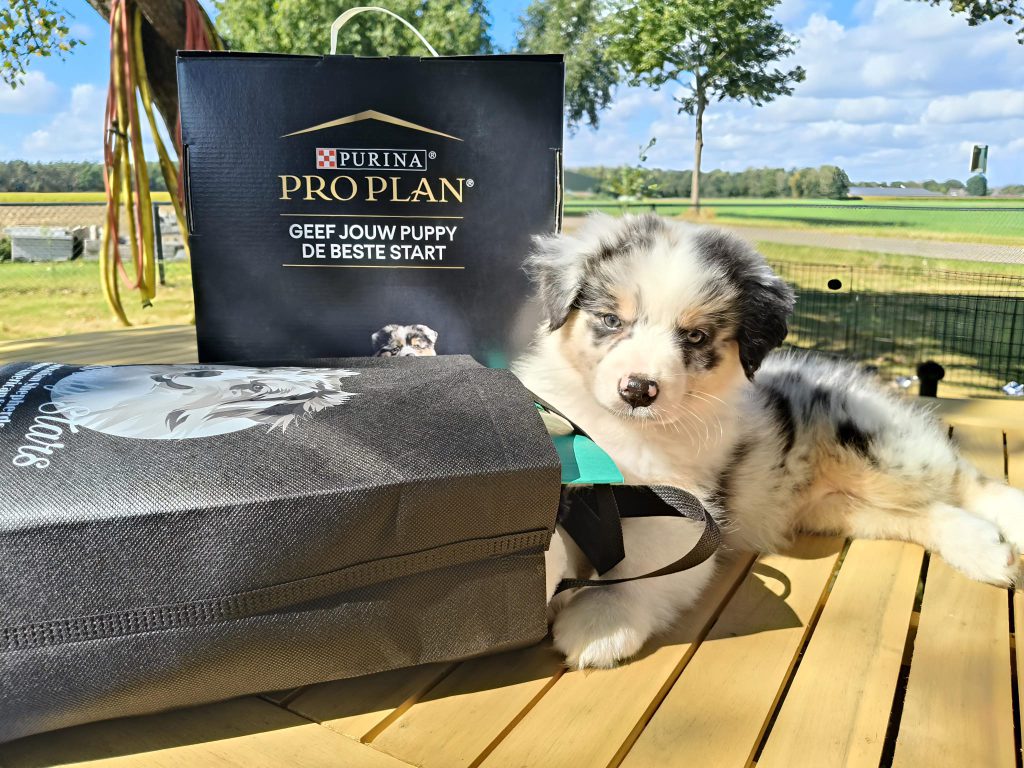 Reserveringslijst is weer geopend.