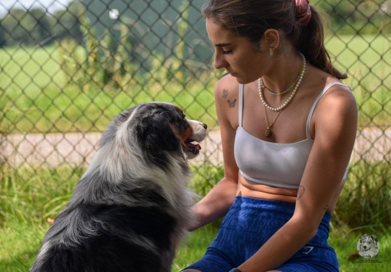 “Is een Aussie of MAS wel de juiste hond voor jou?”