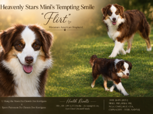 Heavenly Stars Mini's Tempting Smile "Flirt"