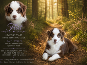 Heavenly Stars Mini's Tempting Smile "Flirt"