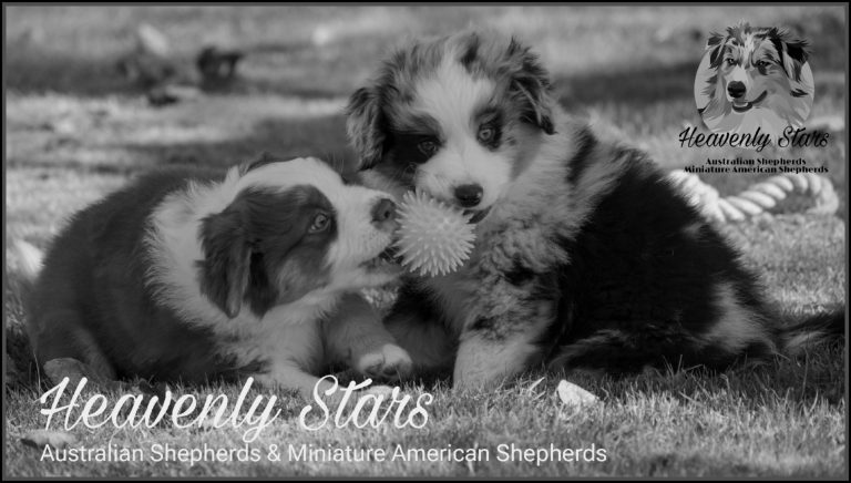 Een gouden mandje voor onze dames