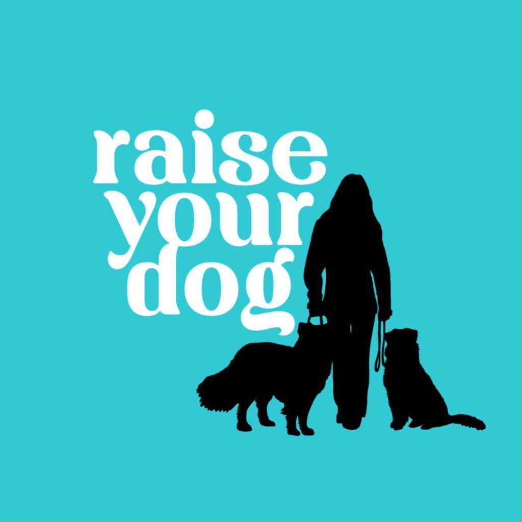 Training en Begeleiding